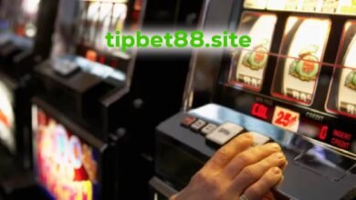 tipbet88.site