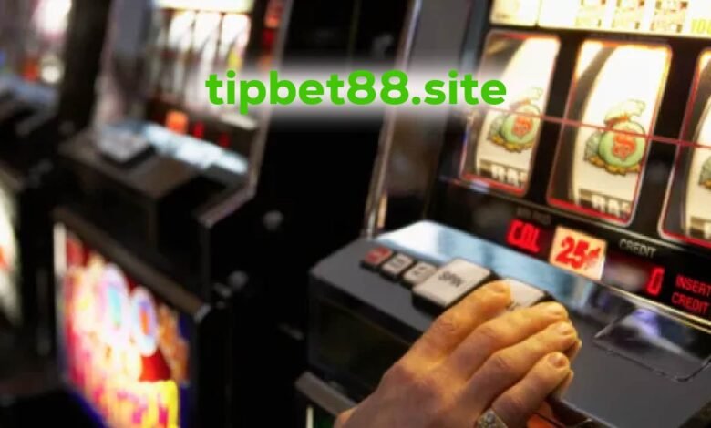 tipbet88.site