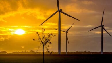 lastlongerrightnow.com wind power giants leading the renewable revolution